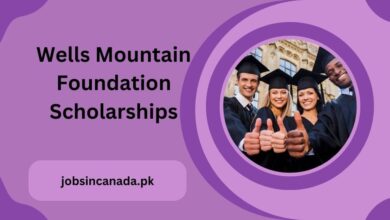 Wells Mountain Foundation Scholarships