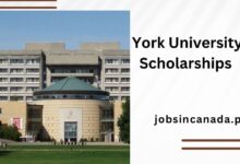 York University Scholarships