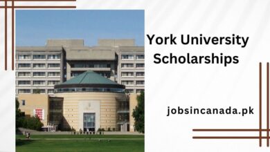 York University Scholarships