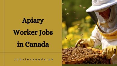 Apiary Worker Jobs in Canada