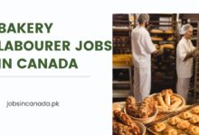 Bakery Labourer Jobs in Canada