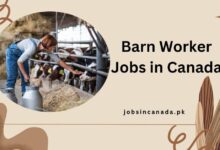 Barn Worker Jobs in Canada