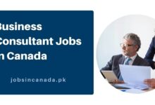 Business Consultant Jobs in Canada