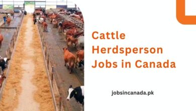 Cattle Herdsperson Jobs in Canada