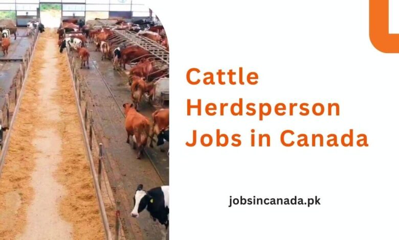 Cattle Herdsperson Jobs in Canada