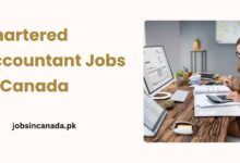 Chartered Accountant Jobs in Canada