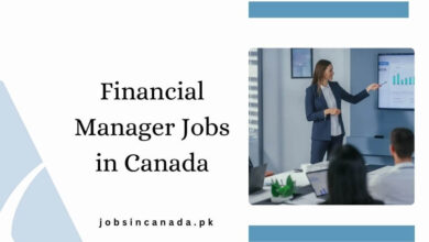 Financial Manager Jobs in Canada