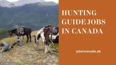 Hunting Guide Jobs in Canada