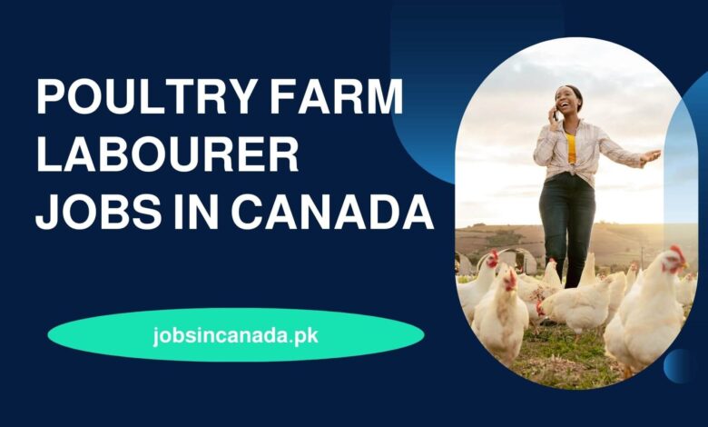 Poultry Farm Labourer Jobs in Canada