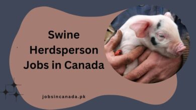 Swine Herdsperson Jobs in Canada