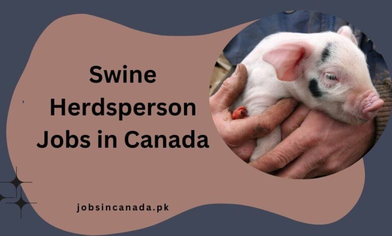 Swine Herdsperson Jobs in Canada