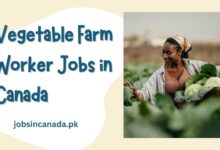 Vegetable Farm Worker Jobs in Canada