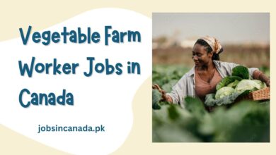 Vegetable Farm Worker Jobs in Canada