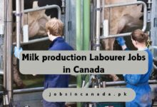 Milk production Labourer Jobs in Canada