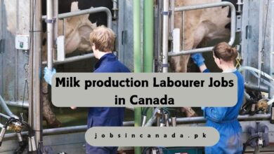 Milk production Labourer Jobs in Canada