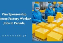 Visa Sponsorship Cheese Factory Worker Jobs in Canada