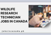 Wildlife Research Technician Jobs in Canada