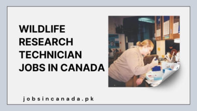 Wildlife Research Technician Jobs in Canada