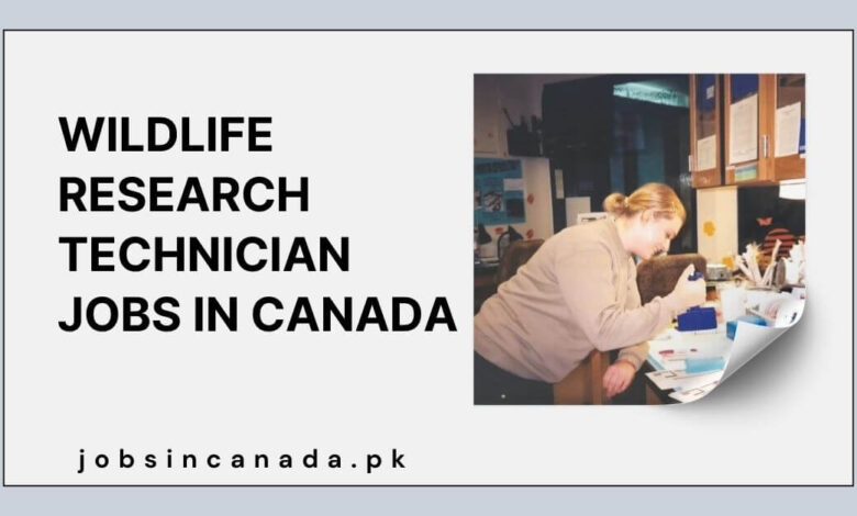 Wildlife Research Technician Jobs in Canada