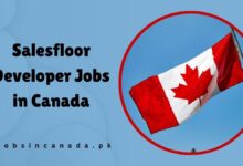 Salesfloor Developer Jobs in Canada