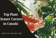 Top Plant Cleaner Careers in Canada