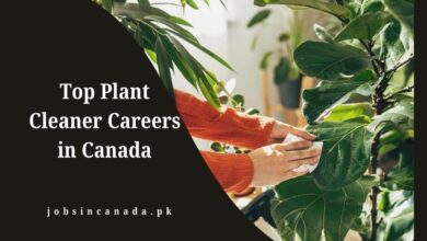 Top Plant Cleaner Careers in Canada