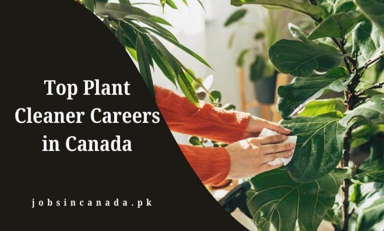 Top Plant Cleaner Careers in Canada