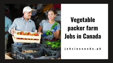 Vegetable packer farm Jobs in Canada