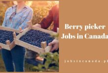 Berry picker Jobs in Canada