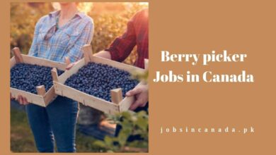 Berry picker Jobs in Canada