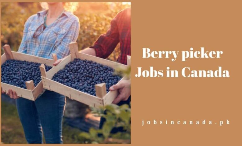 Berry picker Jobs in Canada