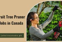 Fruit Tree Pruner Jobs in Canada