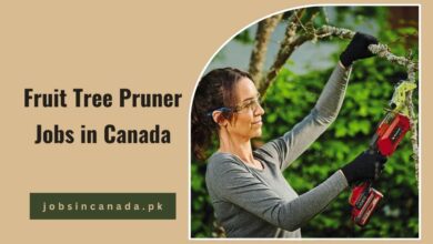 Fruit Tree Pruner Jobs in Canada