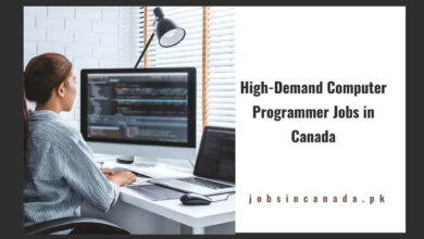 High-Demand Computer Programmer Jobs in Canada