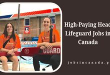 High-Paying Head Lifeguard Jobs in Canada