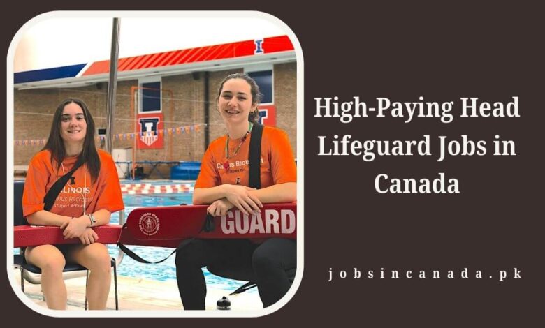High-Paying Head Lifeguard Jobs in Canada