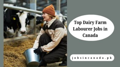 Top Dairy Farm Labourer Jobs in Canada