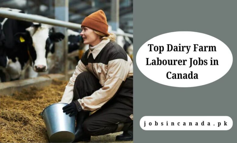 Top Dairy Farm Labourer Jobs in Canada